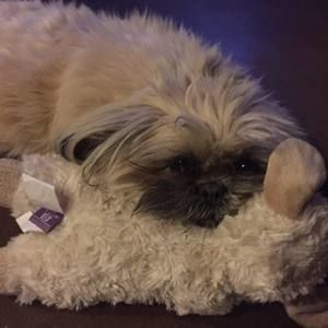 Meet your Posher, Lisa